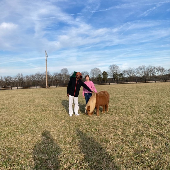 The cows - Picture 10 of 10